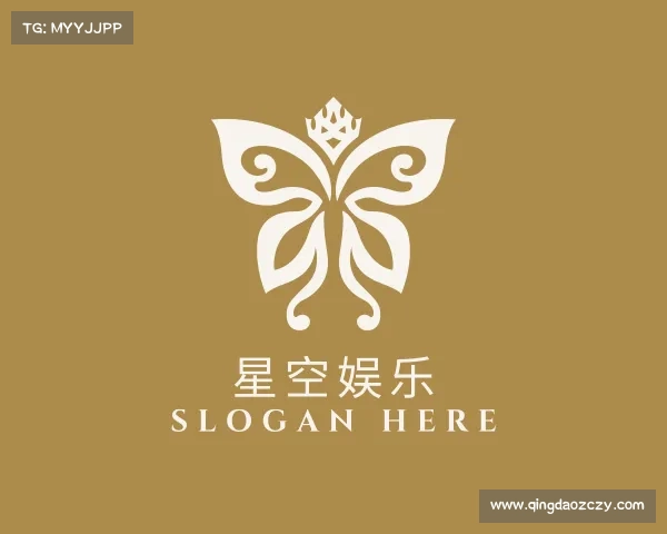 关于星空娱乐